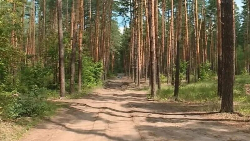 В Тамбовской области готовятся к предстоящему пожароопасному сезону - МК Тамбов