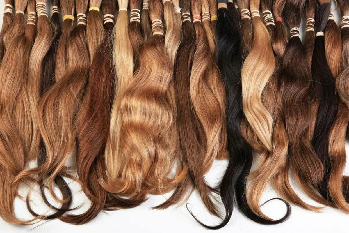 Extensions shop