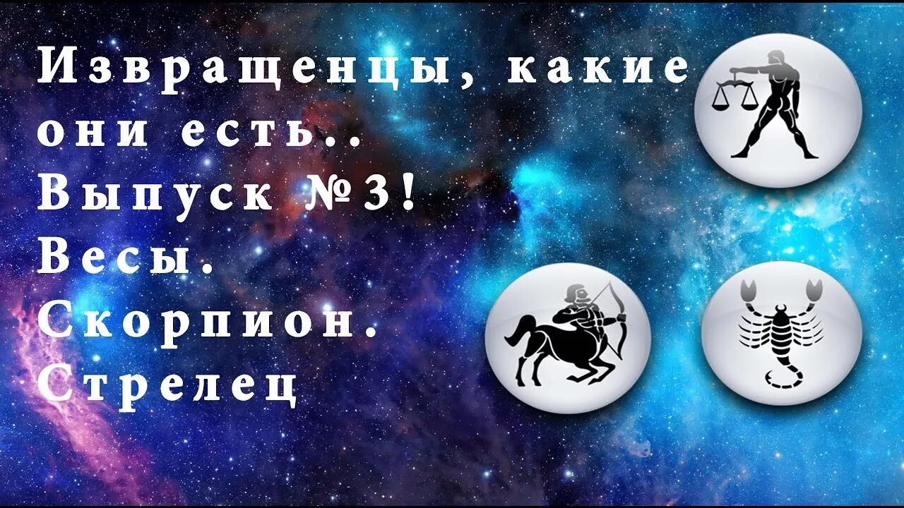 Весы и Скорпион. Скорпион и Стрелец. Весы и Стрелец. Скорпион и весы Мем. Весы скорпион стрелец козерог