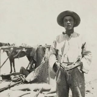 Sang billing