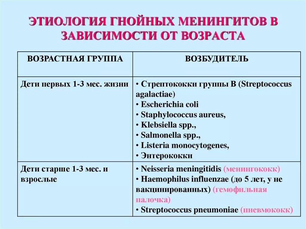 Серозно гнойный менингит. Гнойный менингит этиология. Возбудитель Гнойного менингита. Гнойный менингит вызывают возбудители. Возбудитель первичного Гнойного менингита.