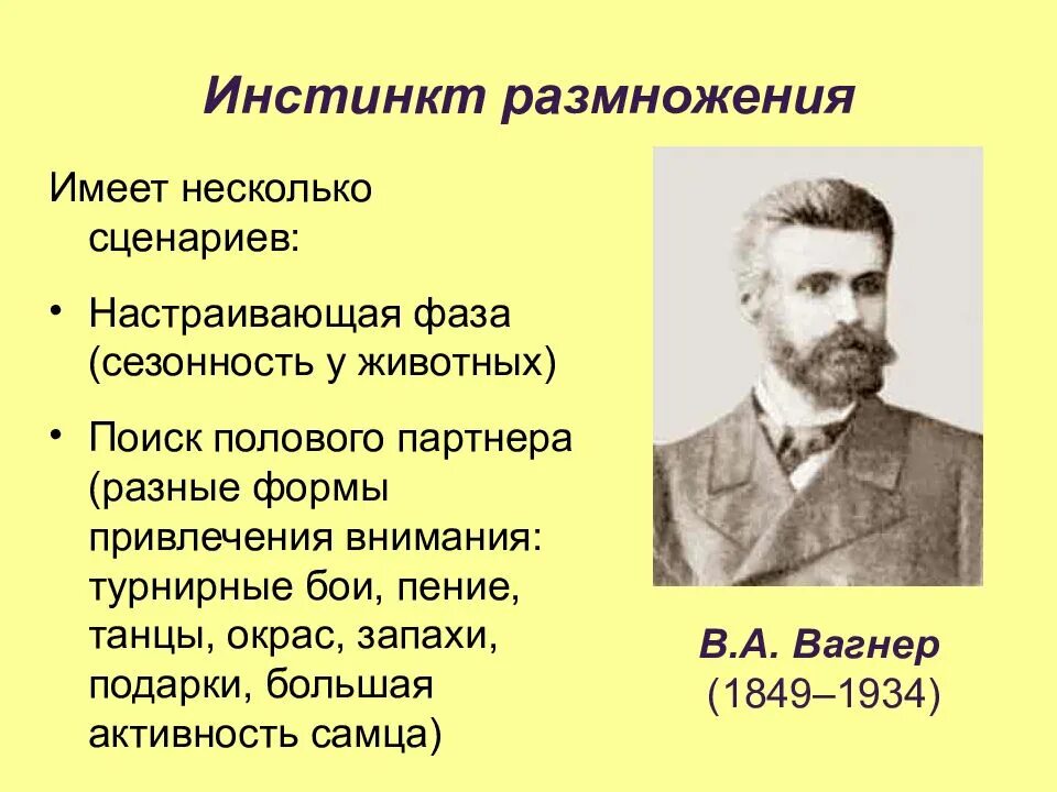 Основан инстинкт. Инстинкт размножения. инстинкты человека. инстинкт размножения у животных. существует ли инстинкт размножения.