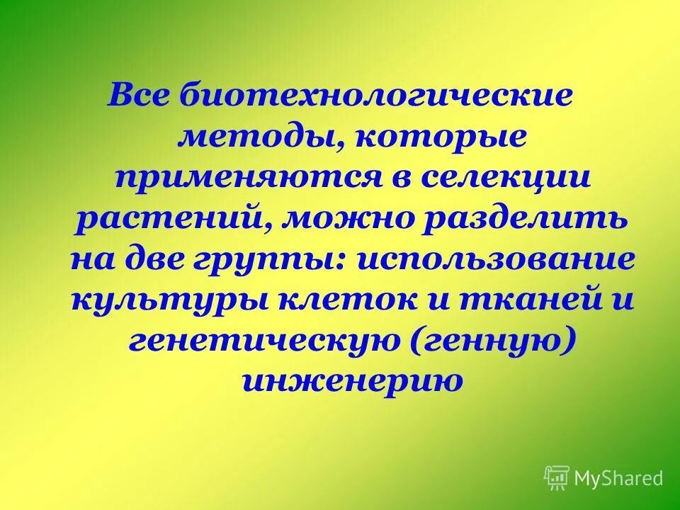 Использование методов биотехнологии в селекции. Биотехнологические методы в селекции растений. методы биотехнологии в селекции растений. достижения селекции растений. биотехнология это метод селекции.