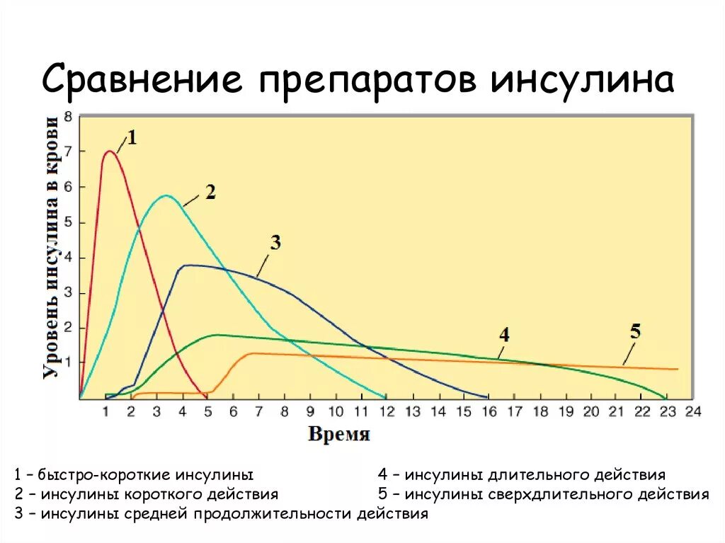 Инсулин левемир график действия. График действия инсулина новорапид. Характеристика действия препаратов инсулина. Фармакокинетика препаратов инсулина.