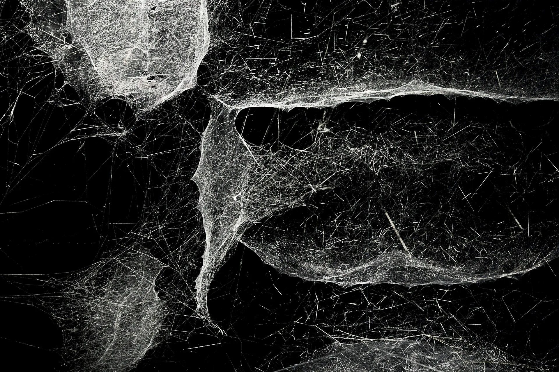 Into webs. Data scraping. Адаптивный дизайн сайта. Into webs. Into webs.