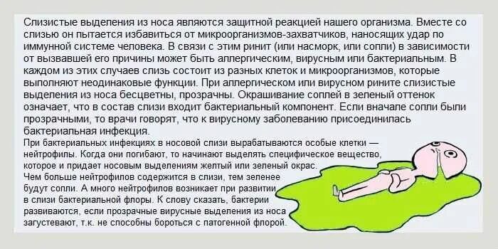 Почему появляются сопли. Состав соплей у человека. Сильные выделения из носа