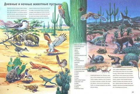 Книги о пустыне