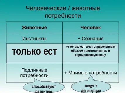 Инстинкт и потребности