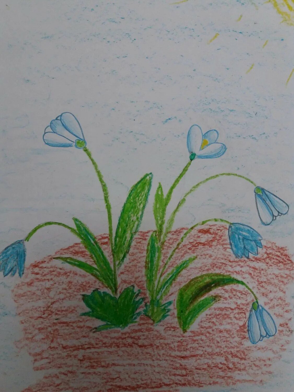 Рисование с детьми первоцветы. Рисование с детьми подснежники. Рисование первые цветы. Рисование первых весенних цветов. Как нарисовать первоцветы