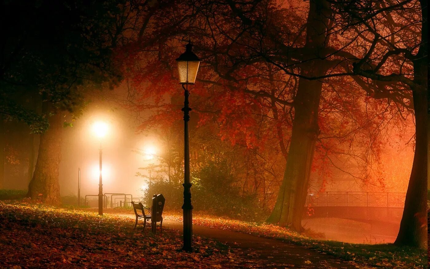 Туман романтика. Вечерний осенний парк. Фонарь в парке ночью. Ночной осенний парк. Фонарь в тумане.