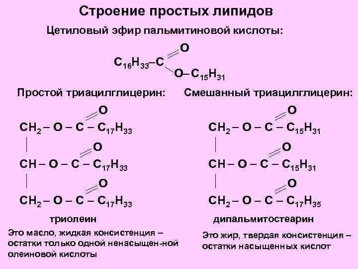 Омега этиловый эфир или триглицериды. Омега этиловый эфир или триглицериды