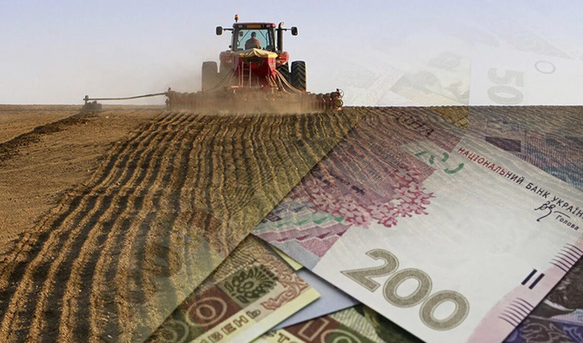 Минсельхоз субсидии. Субсидии сельскому хозяйству. субсидии сельхозпроизводителям. субсидии аграриям. субсидии фермерам.