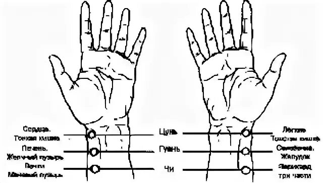 Точка Чингисхана. Точка желчного пузыря на руке. Схема пульсовой диагностики. Точки пульса в китайской медицине.