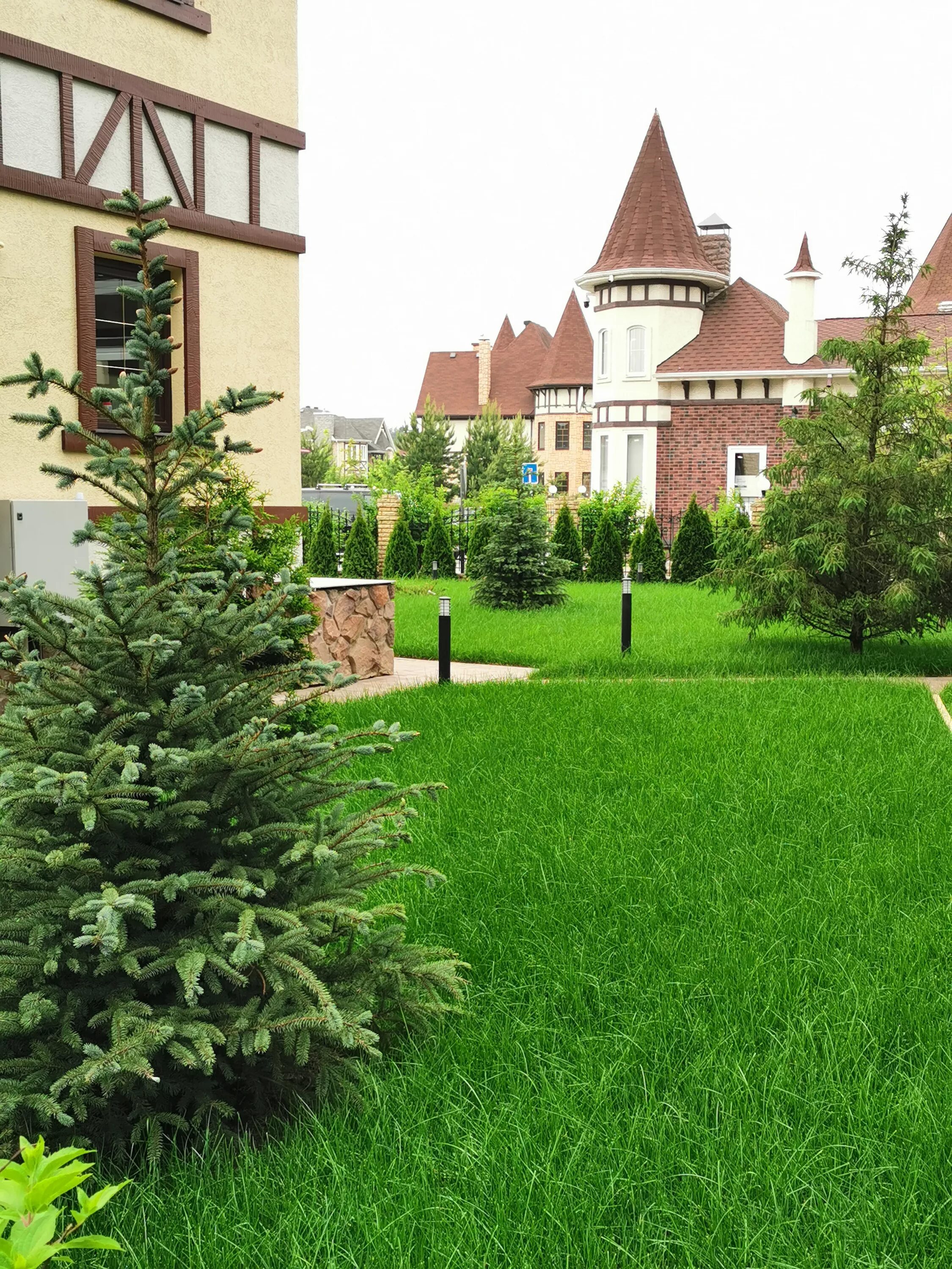 магазин датские газоны симферополь сайт. искусственный газон в ландшафтном дизайне. газон 55671 d1526. дорожка в сад. газон dlf парк (park) 20 кг.