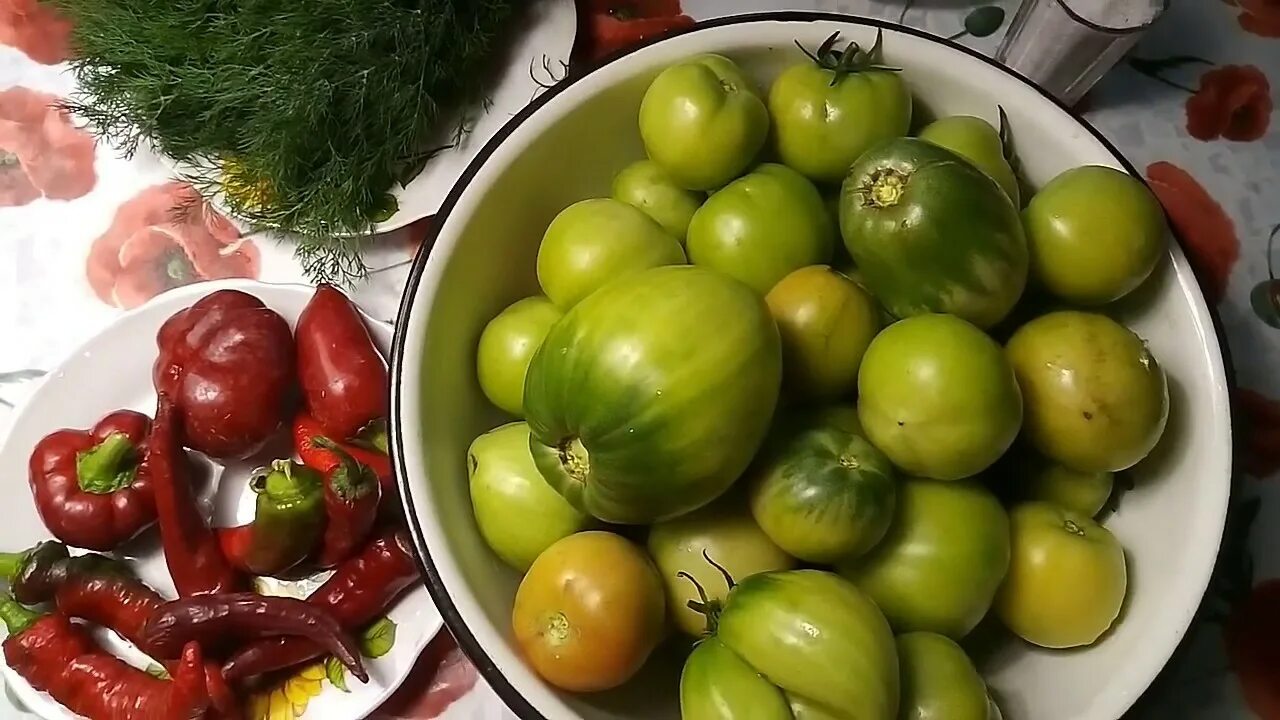 Томат зеленый вкусный. Зеленые помидоры. Сорт помидоров зеленоплодные киви. Сорт помидор зеленые но спелые. Томат зеленая дороти.