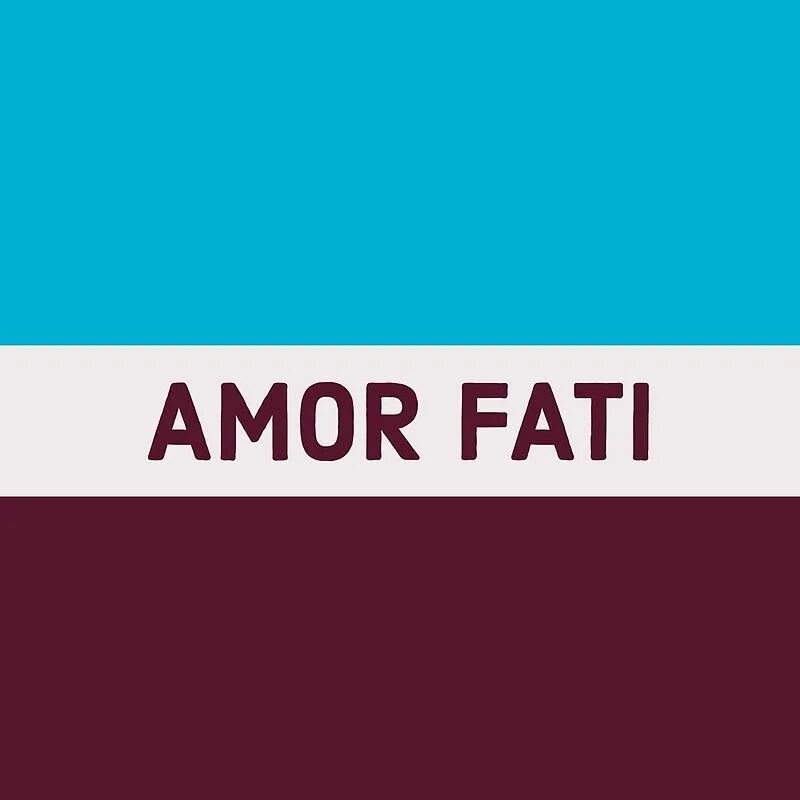 Amor fati значение. Амур фати. амор. amor fati обои. амор фати перевод.