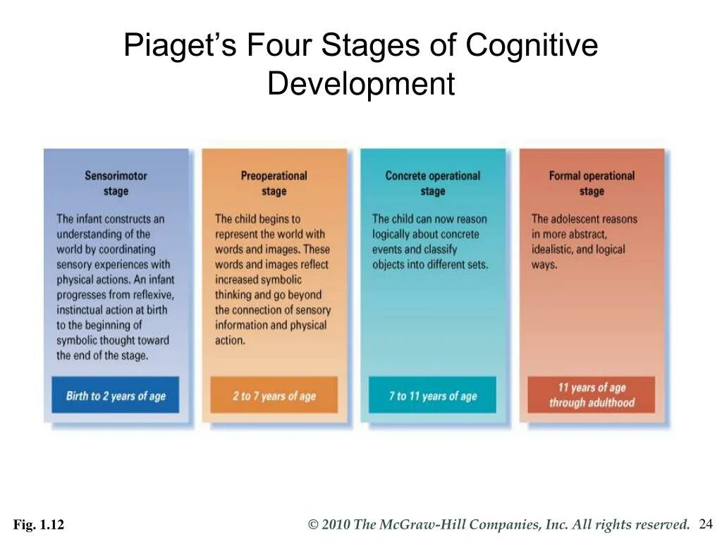 Product development. Stages of development. Tuckman's stages of group development. Stages by piaget. Stages of development.
