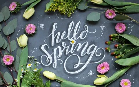 Spring begins