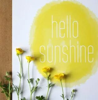 Hello sunshine