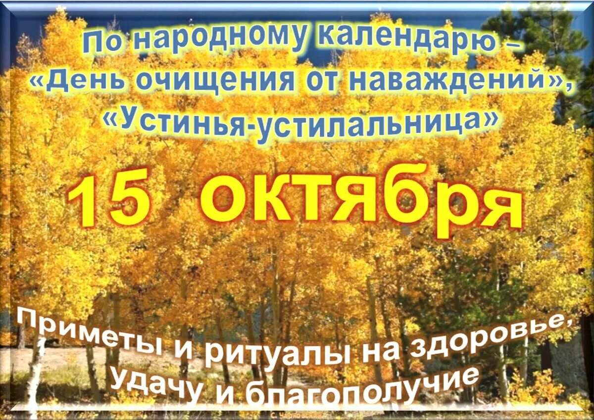 15 Октября праздник. Какой сегодня праздник 15 октября. 15 Октября праздник приметы. Праздники в октябре. Праздник октября 2023 года