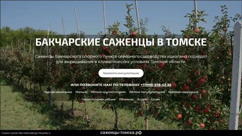 Томский питомник саженцев