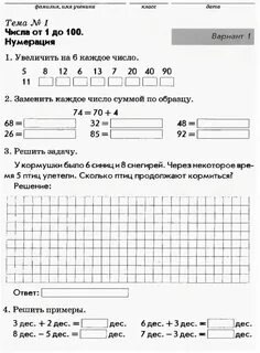 Два математика голуби