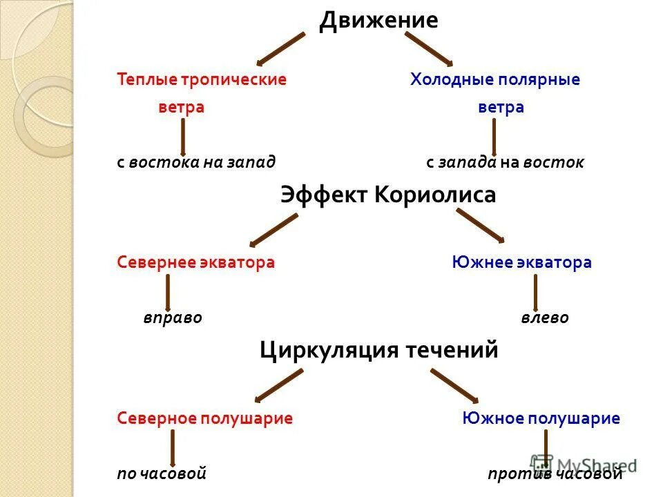 Чем отличаются теплые течения от холодных. Чем отличаются теплые течения от холодных