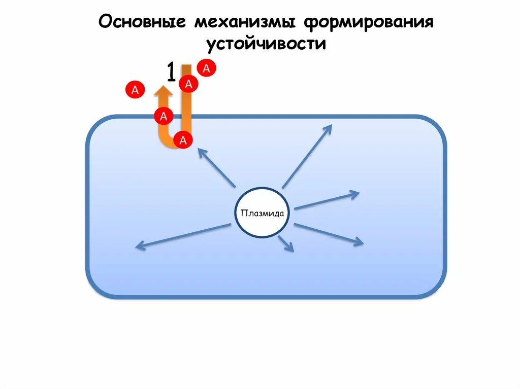 Методы резистентности. Механизмы развития резистентности. Основные механизмы формирования резистентности. Механизмы формирования резистентности к антибиотикам. Механизмы резистентности микроорганизмов к антибиотикам схема.