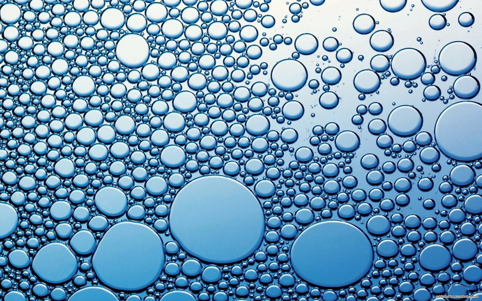 Водные пузырьки. Фон пузыри. Пузырьки в воде. Пузырьки текстура. Пузыри под водой.