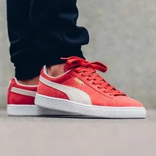 Puma suede