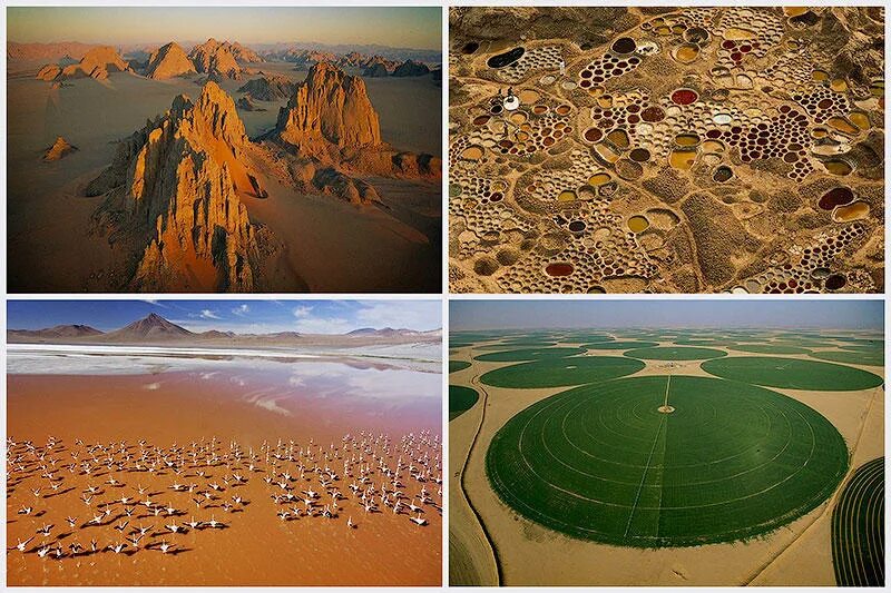 Спинифекс в австралии. Разнообразие пустынь. Разнообразие пустынь. Пейзаж пустыни арава. Полупустыни африки.