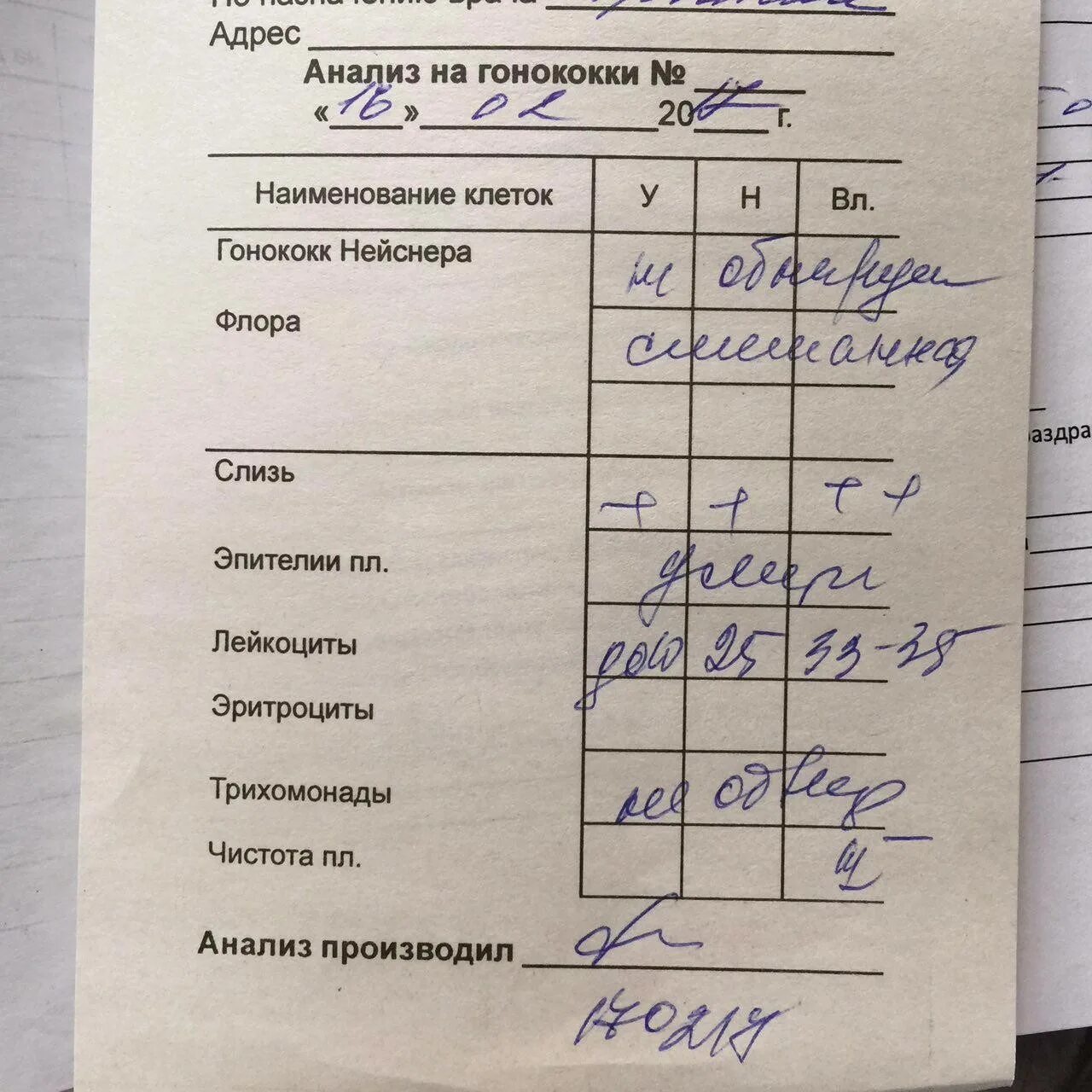 Сдать анализы на молочницу. Исследование мазков на гонококки норма. Анализ мазок на флору. Результаты анализов мазок на флору. Исследование мазка на гонококки.