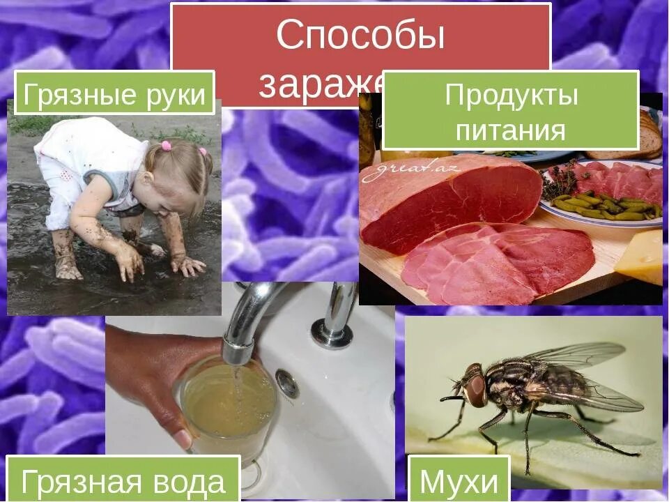 Заболевания передающиеся через пищу. Профилактика заболеваний передающихся через почву. профилактика болезней грязных рук. болезни передающиеся через пищу.