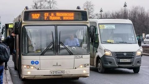 Когда будут последние белые автобусы в спб