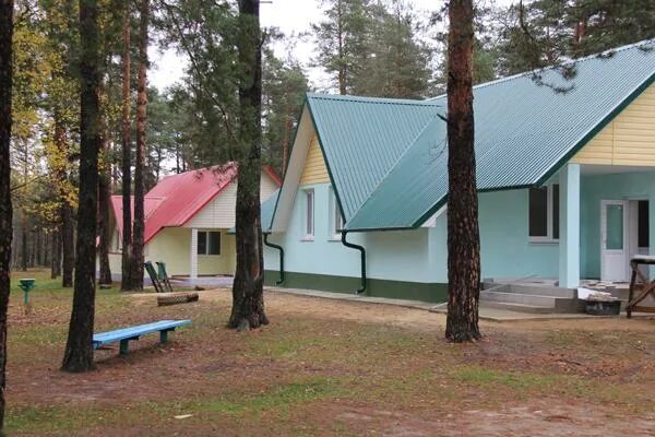 Дуб черешчатый саженцы. Дуб курчавый. Дуб черешчатый желуди. Росток дуб черешчатый. Сеянцы дуба черешчатого.