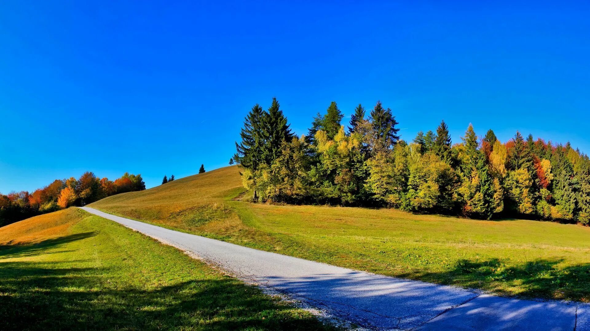 В родных местах дорога. Природа дорога. Пейзаж с дорогой. Летняя дорога. Лесная дорога.