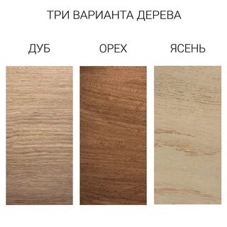 Сравнение дуба