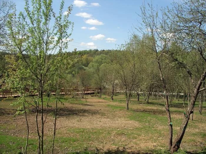 Парк пойма реки сходня. Долина реки сходни в куркино. Захарьинская пойма парк. Парк долина реки сходня. Захарьинская пойма.