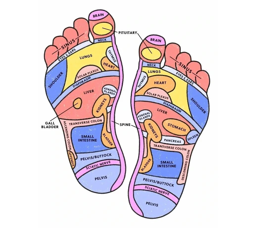 Карта в стопе метро. Зоны стопы. Рефлекторные зоны стопы. Рефлексотерапия. Рефлекторные зоны стоп. Рефлекторная карта стопы.
