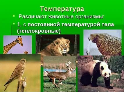 Абиотические растения и животные