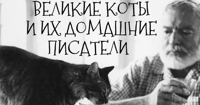 Писатели и коты. Коты великих писателей. Великие коты и их домашние Писатели. Хемингуэй и кошки. Великий кот сайт