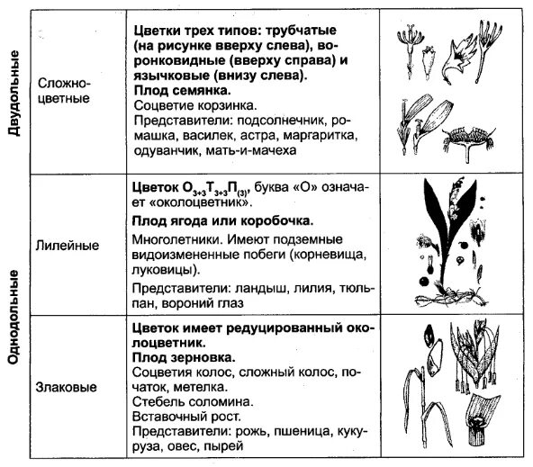 Покрытосеменные представители таблица. Признаки семейств цветковых растений таблица. Основные признаки семейств цветковых растений таблица. Таблица 11 основные признаки семейств цветковых растений. Таблица основные признаки семейств.