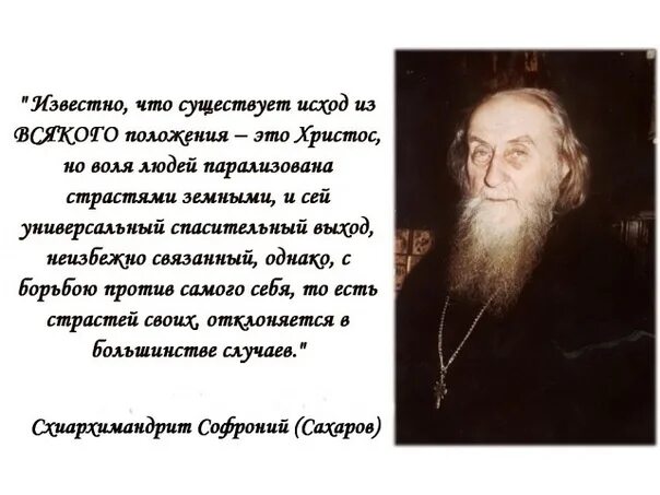 Я полюбил страдание святитель. Я полюбил страдание. Я полюбил страдание высказывание Луки.