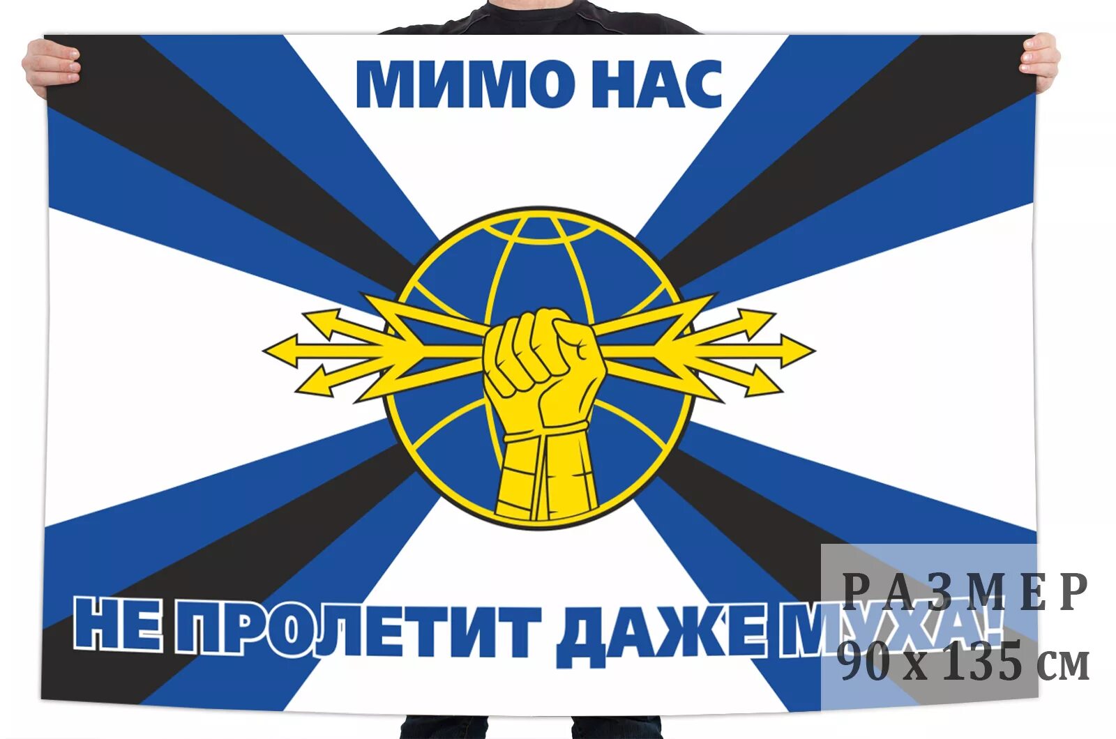 Рэп войска расшифровка. Рэп войска расшифровка. Эмблема рэб. Рэб войска эмблема. День войск радиоэлектронной борьбы.