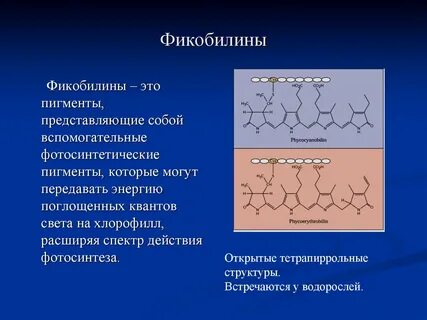 Пигменты представляют собой