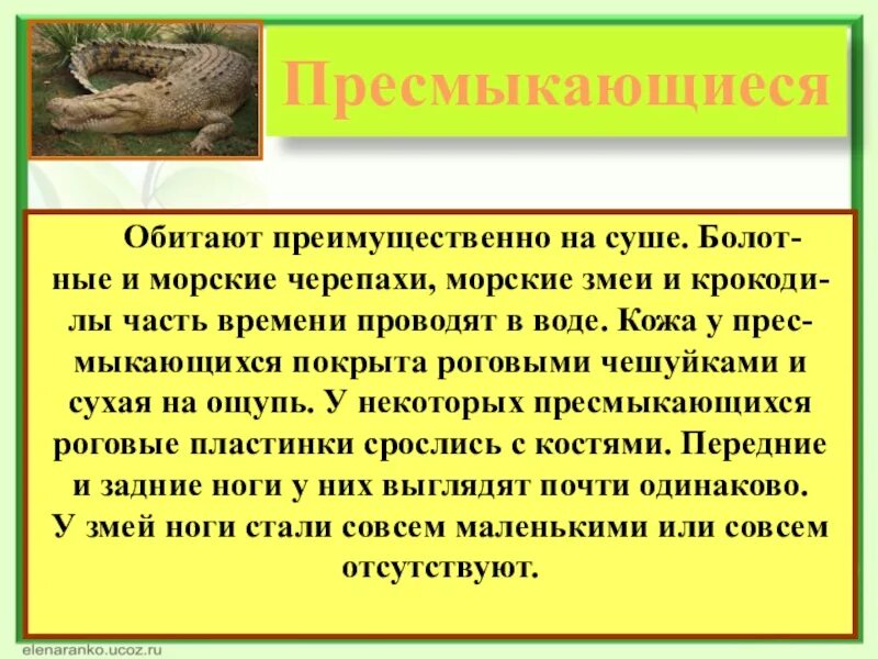 Какие бывают пресмыкающиеся. Обитающие на болотах пресмыкающиеся. Где обитают пресмыкающиеся. Пресмыкающиеся доклад. Где обитает большая часть организмов