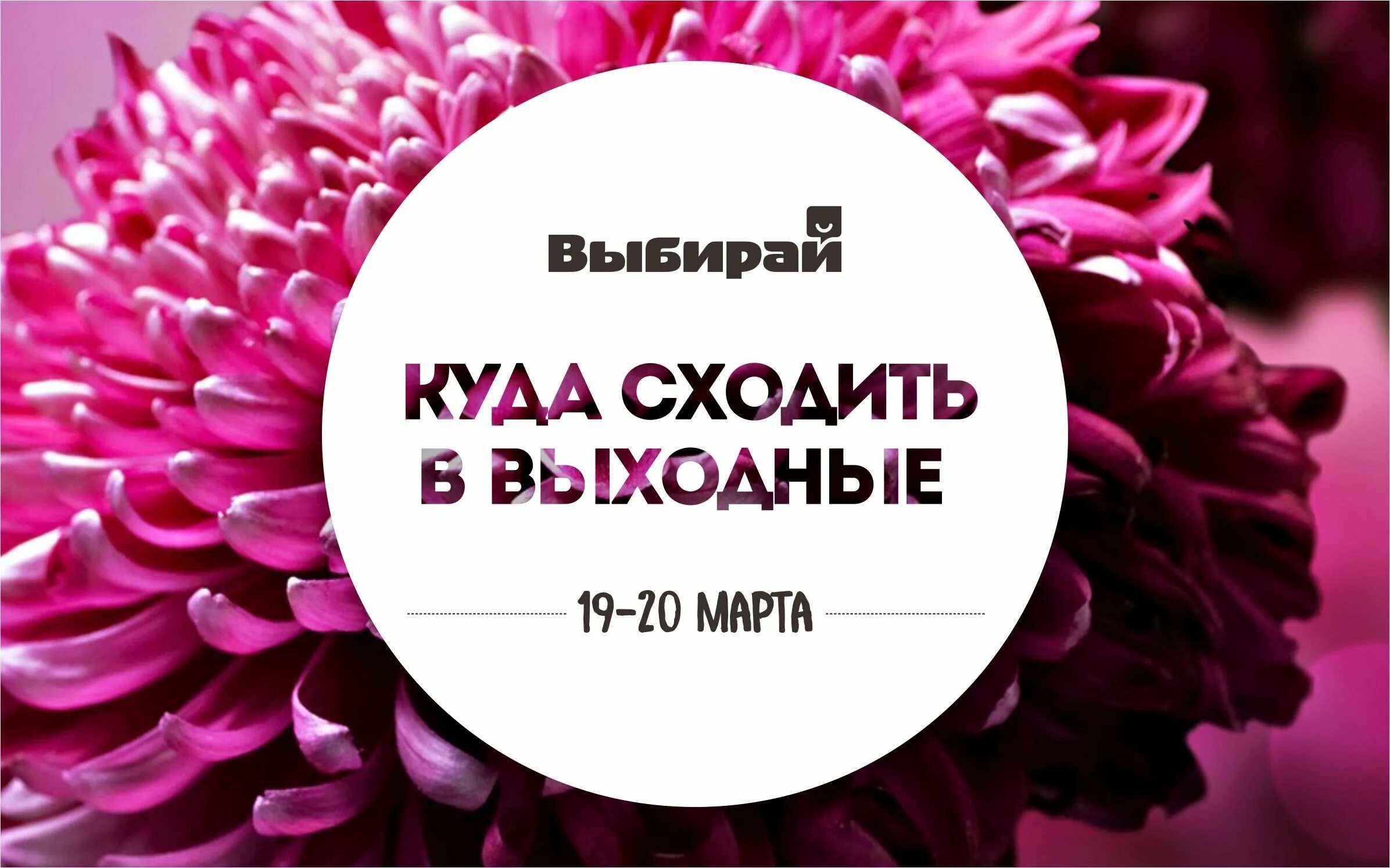 Куда сходить в выходные 6 7 апреля. Куда сходить в выходные 6 7 апреля