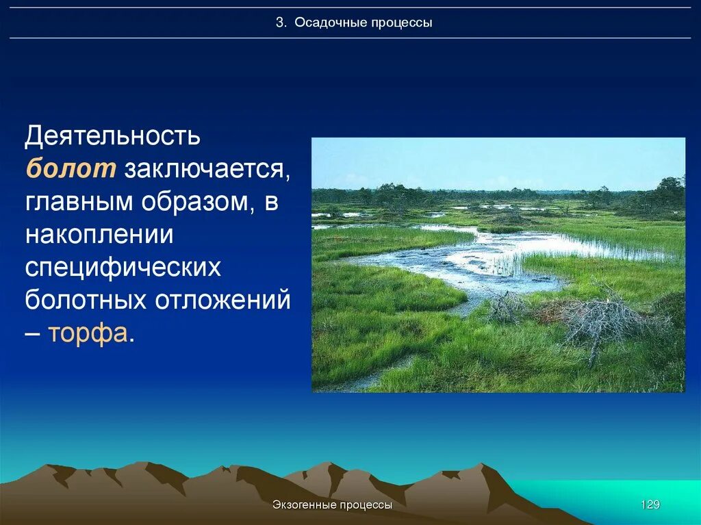 Большой и состоит в основном. Геологическая деятельность болот. Геологическая работа озер и болот. Геология болота. Экзогенные озера.