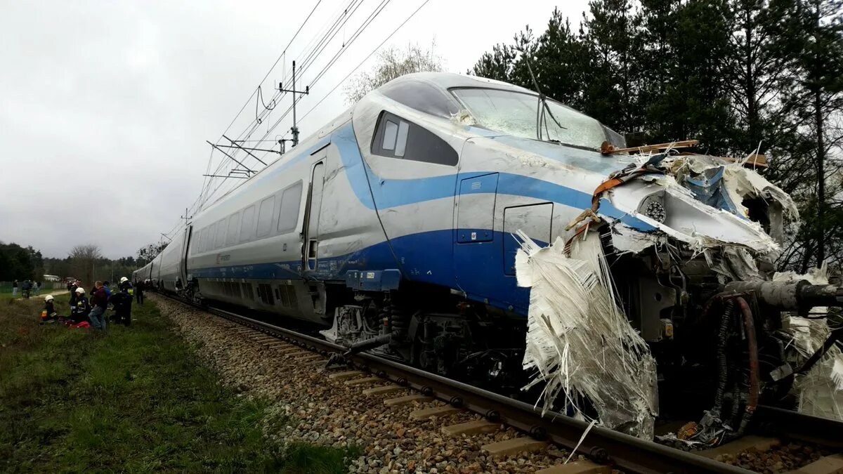 Лось железнодорожный. Авария скоростного поезда.