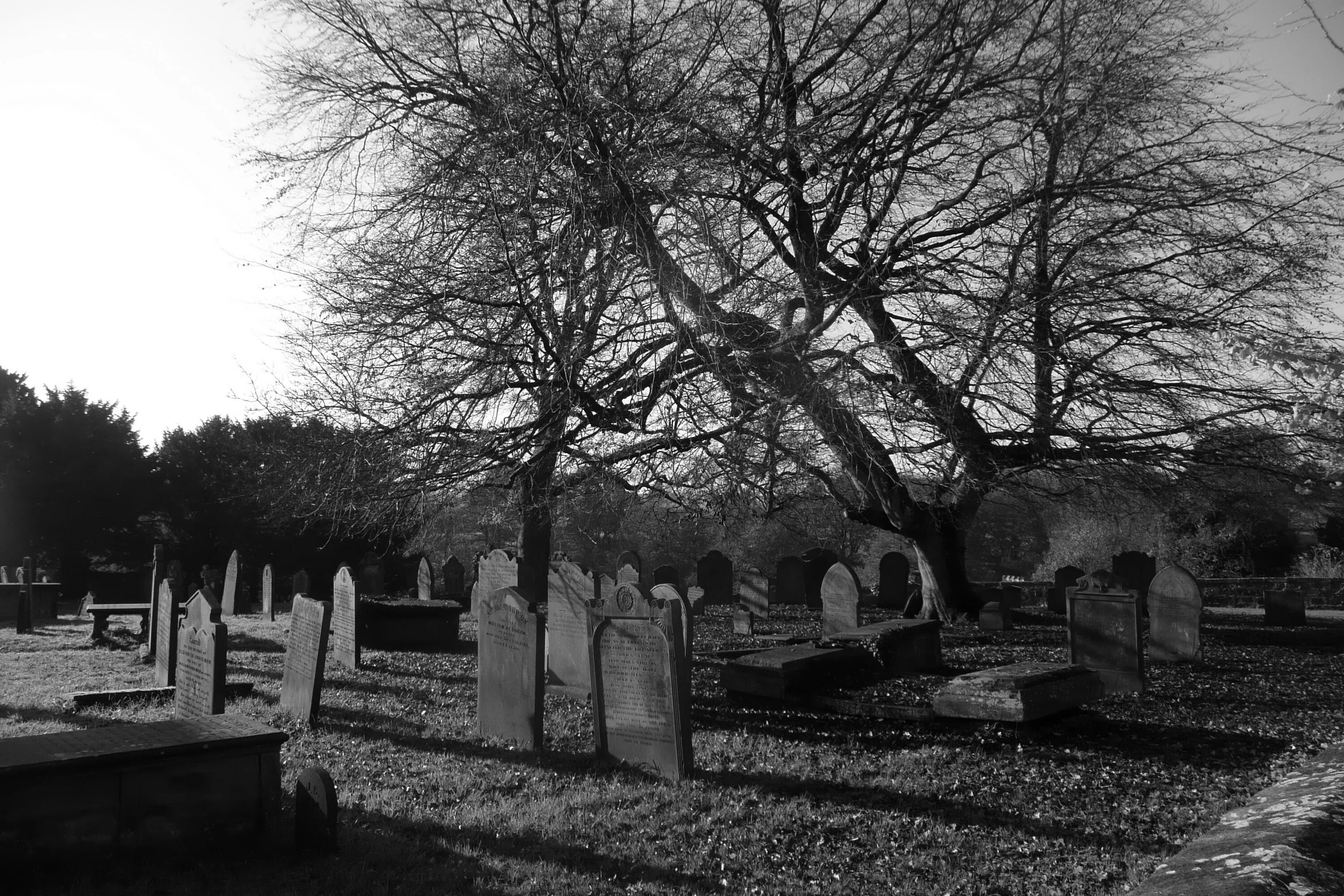 Похорони белого. Кладбище черно белое. Мрачное кладбище. Серое кладбище. Старинное кладбище.